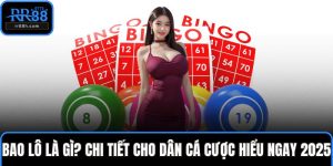 Bao Lô Là Gì