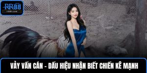 Vảy vấn cán